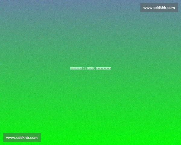 葡萄牙轮滑曲棍球 22 冠加冕，C 罗社媒贺欧洲王者归来